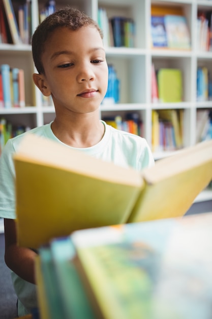 Little boy reading a book