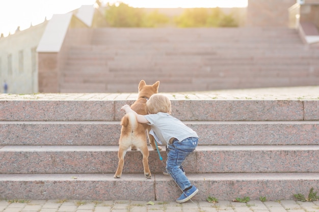 Little boy and red shiba inu puppy playing outdoors in summer