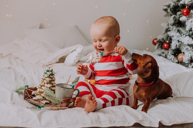 Little boy in red and white pajamas eats a homemade Christmas cookie sitting in bed with a dog