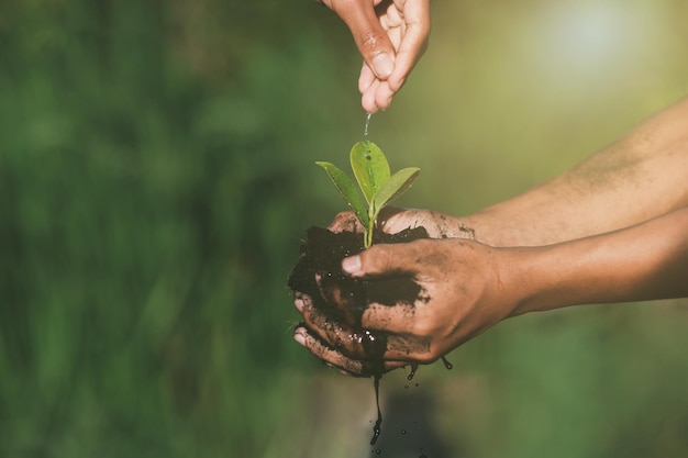 어린 소년의 손에 나무에 물을 주는 묘목 심기 지구 온난화 감소 지구 사랑 개념