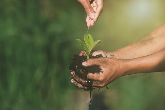 苗木を植える木に水をまく少年の手地球温暖化を減らす地球の愛の概念