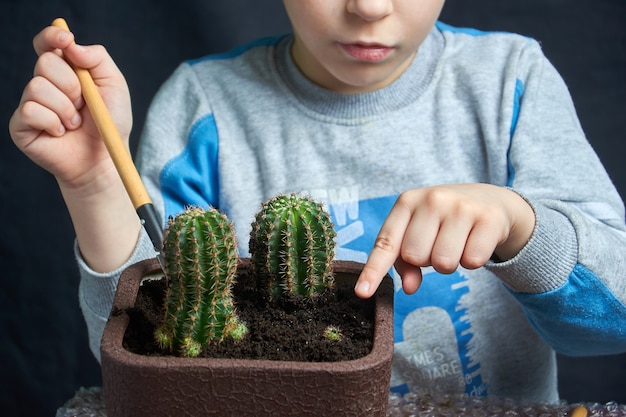 Foto il ragazzino ha messo giù il suo cactus della pianta d'appartamento