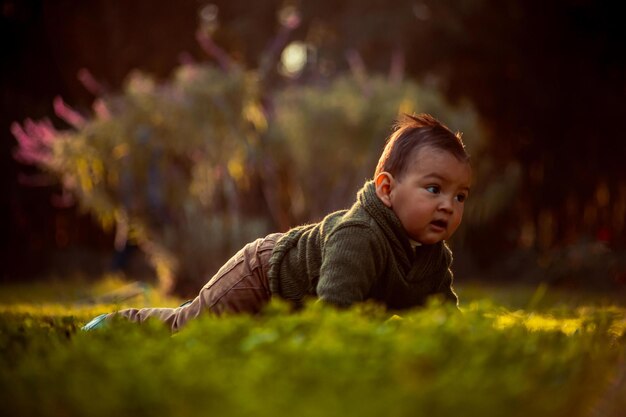 Little boy sitting on the green grass