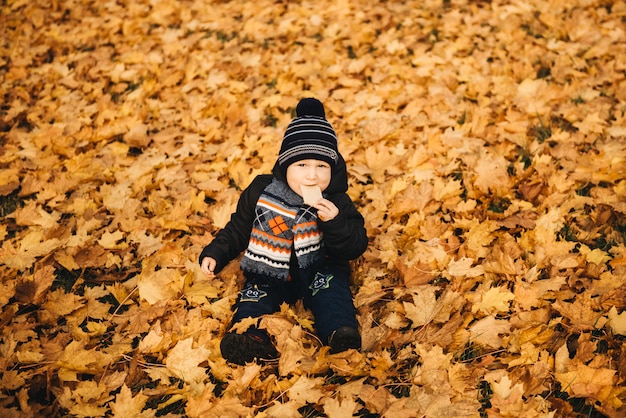 Little boy sitting on the yellow leaves in the park