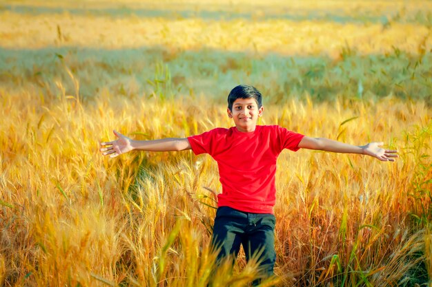 Little boy spread his arms at golden wheat field