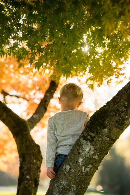 葉を通して明るい太陽フレアを見下ろす秋の木の枝に立っている男の子