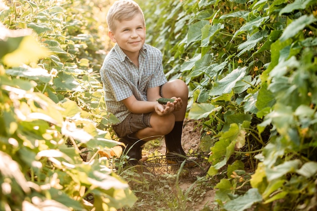 The little boy stands with a basket in the garden bed