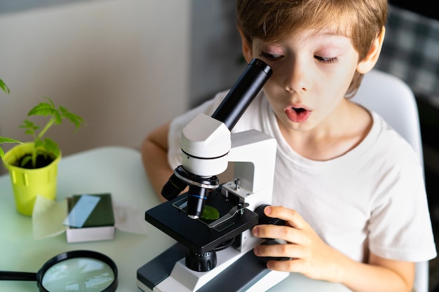 Il ragazzino studia le piante al microscopio, emozioni di sorpresa e gioia.