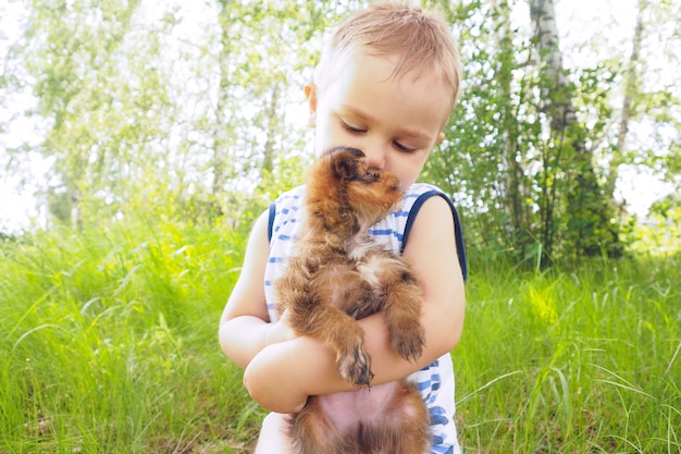 Foto un ragazzino in estate nella foresta si siede su un moncone e abbraccia un cucciolo marrone.