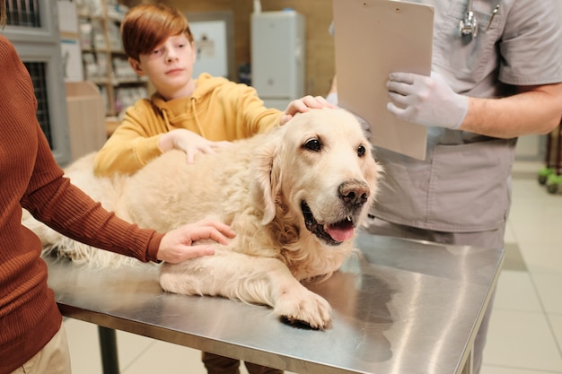 Little boy together with mom calming their dog on the table during medical examination at vet clinic