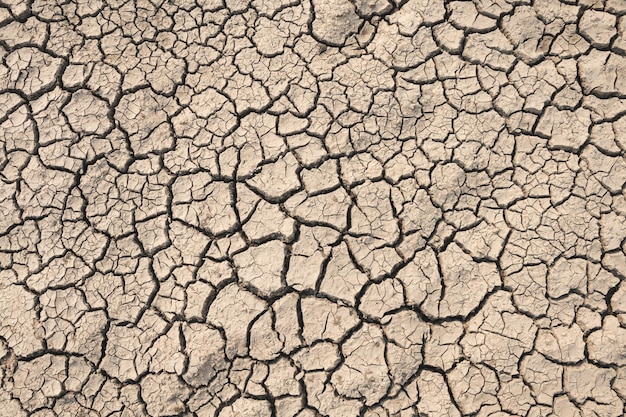 Photo the little boy waiting for drinking water to live through this drought concept drought