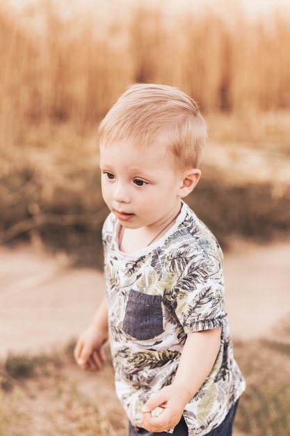 Little boy walking through the field in the summer. Childhood. Summertime. Summer vacation