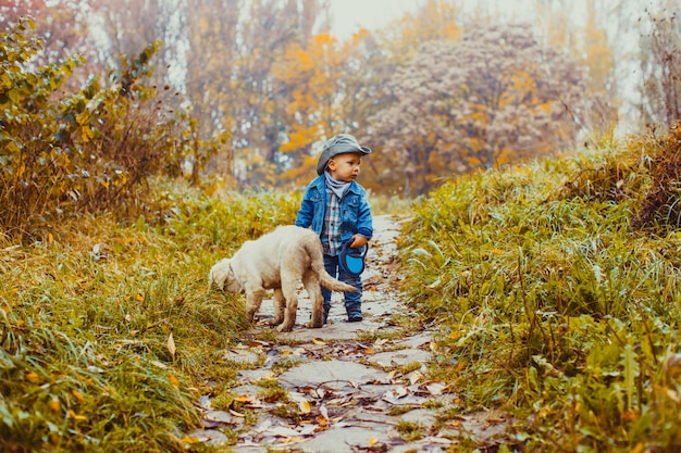 가을 공원에서 멋진 리트리버를 산책하는 어린 소년