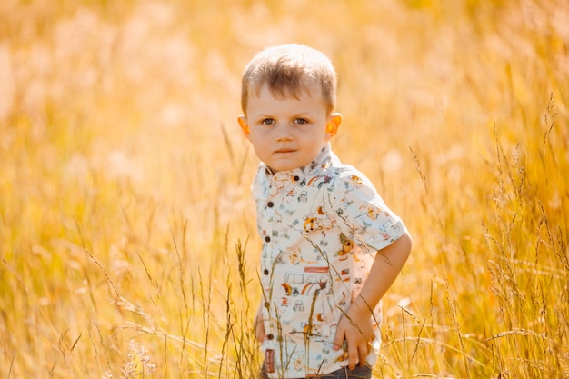 Little boy walks on the field of lavander covered with sunshine