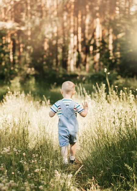 A little boy walks on the tall grass in the park in the summer. Rear view