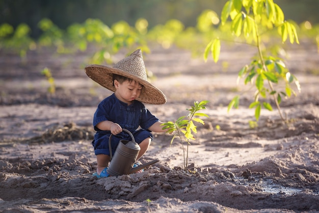 Маленький мальчик поливает дерево в garden.asian Таиланд.