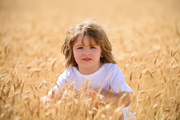 Little boy with blond hairs having fun in wheat field in summer