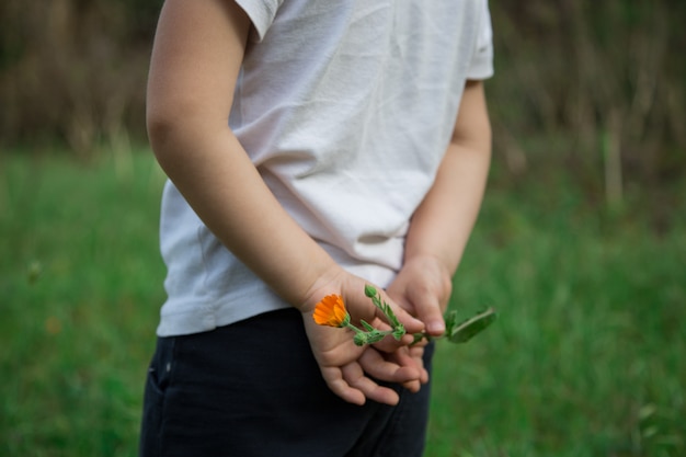 手の中に花を持つ少年