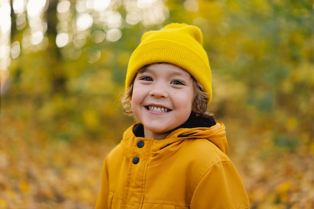 黄色い帽子とジャケットを着た小さな男の子が秋の森の子供を歩き、自然の中で活動しています