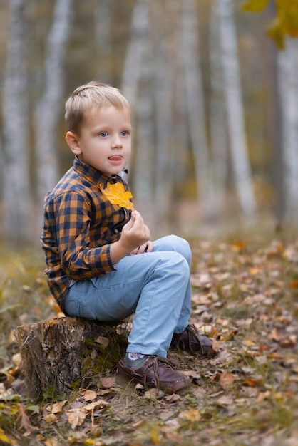 The little boy young researcher looking and exploring oak leaf in the fall park on a sunny day.