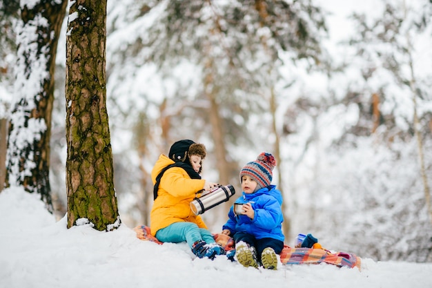 I ragazzini fanno picnic nella foresta invernale e condividono il tè dal thermos.