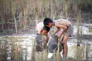 Photo little boys in rural thailand like catching fish in the wetlands surrounding the rice fields