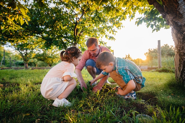 Little brother and sister are planting seedlings with their father in a beautiful spring garden at sunset. New life. Save the environment. Careful attitude to the surrounding world and nature.