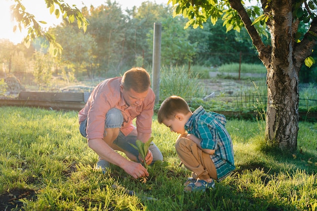 Fratellino e sorella stanno piantando piantine con il padre in un bellissimo giardino di primavera al tramonto. nuova vita. salva l'ambiente. attitudine attenta al mondo e alla natura circostanti.