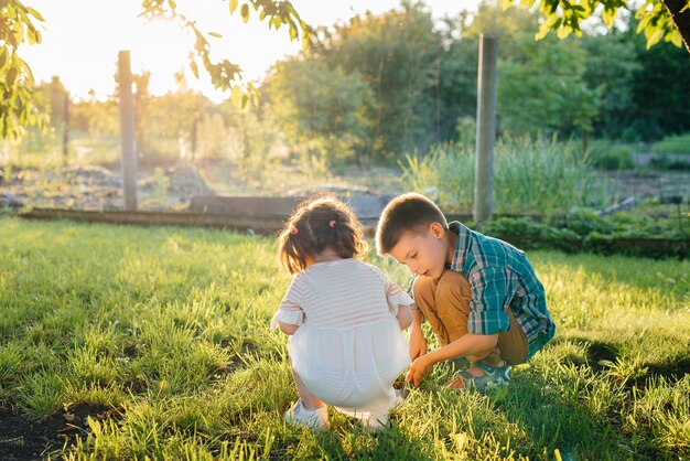 Little brother and sister are planting seedlings