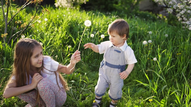 明るい夏服を着た弟と妹。春の庭の背の高い草や緑豊かな木々を背景に、ふわふわの白と黄色のタンポポで楽しくて面白い遊び。