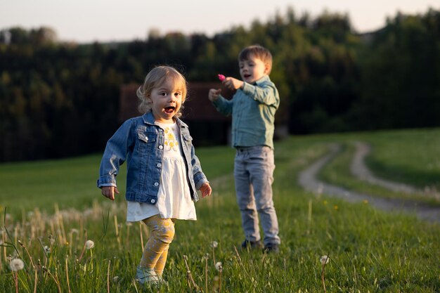 牧草地で遊んでいる弟と妹
