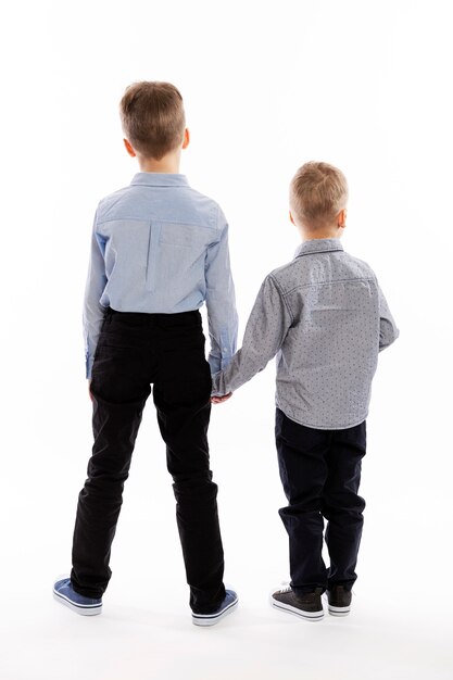 Little brothers in blue shirts stand holding hands. Back view