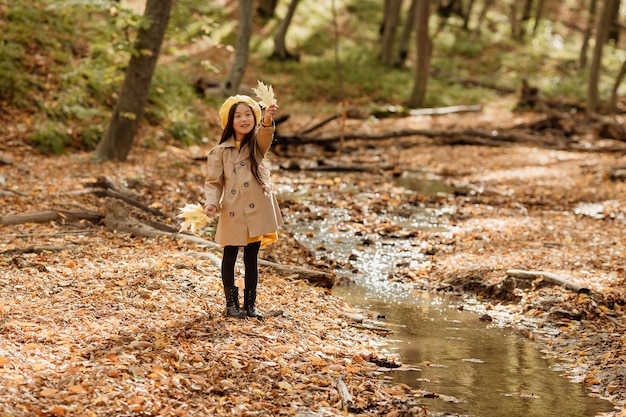 秋の服を着た小さなブルネットのアジアの女の子は、小川の近くの秋の森を歩きます