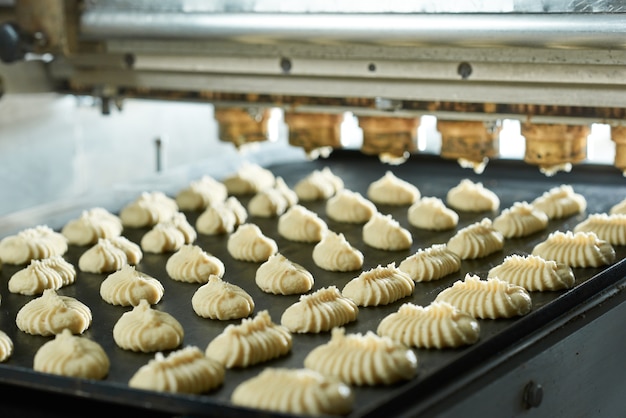 little cakes from raw dough on the confectionary conveyor