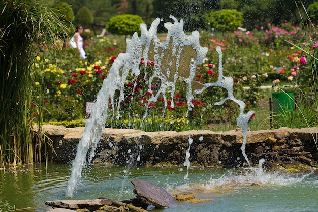 Little cascade in a garden