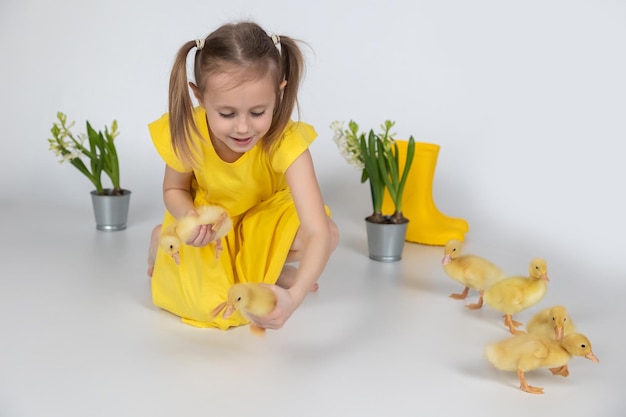 Little caucasian girl preschool age holding a cute duckling in the hands