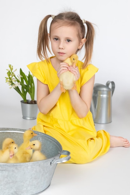 Little caucasian girl preschool age holding a cute duckling in the hands