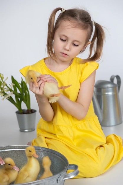 Piccola ragazza caucasica in età prescolare che tiene un simpatico anatroccolo nelle mani