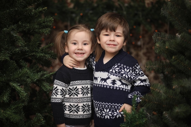 A little child by the New Year tree. Children decorate the Christmas tree. Baby in a sweater by a green tree in studio.