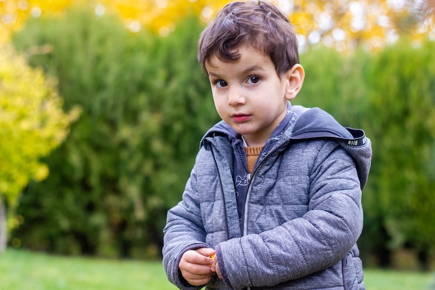 little child in the park little boy in the autumn park