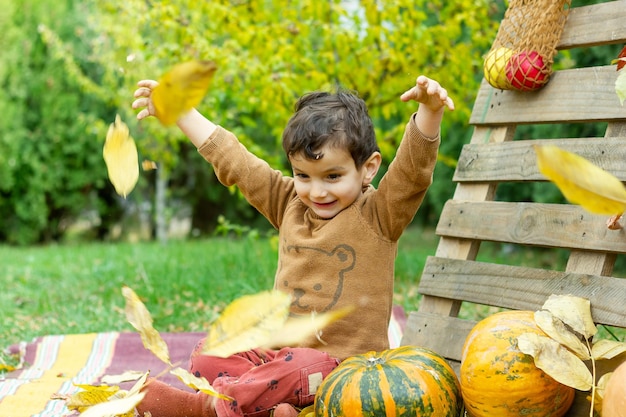 little child in the park little boy in the autumn park