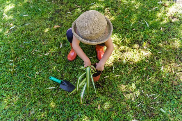 Piccolo bambino che pianta al giardino