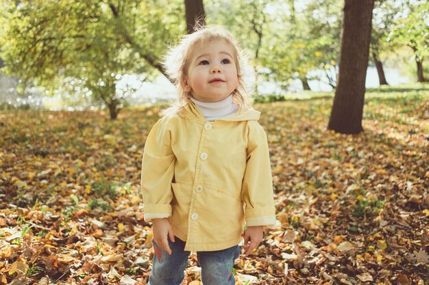 Photo little child walks in the park in autumn among the leaves.