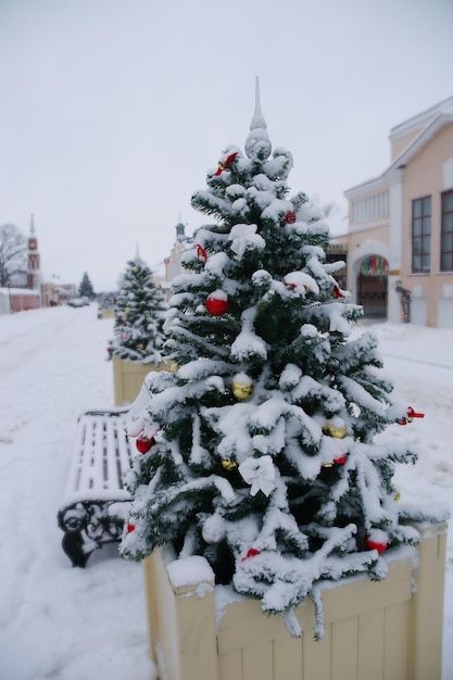 Маленькая рождественская елка, покрытая снегом на городской площади
