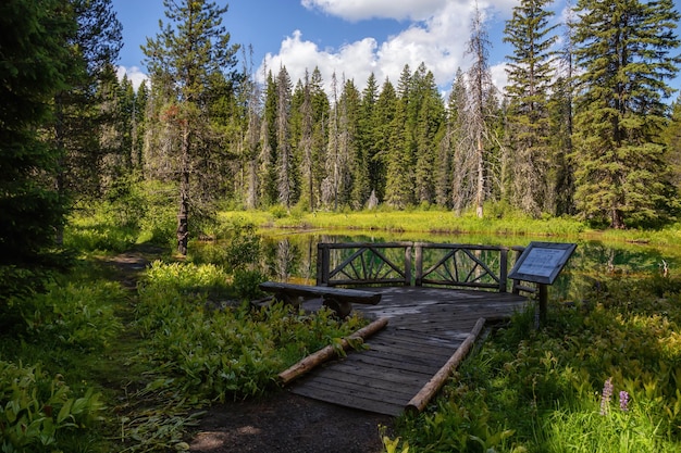 Little Crater Lake during a vibrant sunny summer day