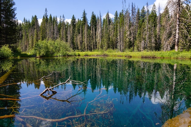 Little Crater Lake during a vibrant sunny summer day