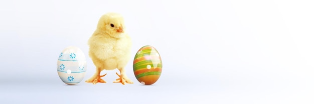 Little cute baby chick for easter Yellow newborn baby chick