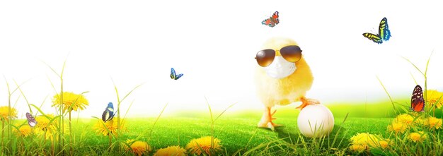 Little cute baby chick with mask at corona virus time