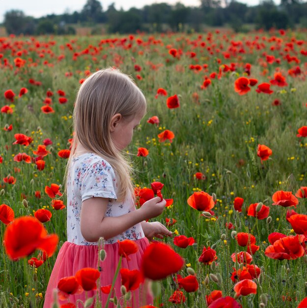 Piccola ragazza bionda sveglia del bambino nel vestito bianco e rosso sul nel campo del papavero al tramonto