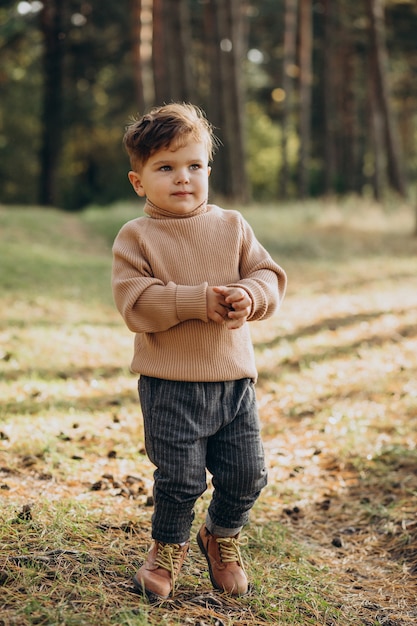 Little cute boy in autumnal forest